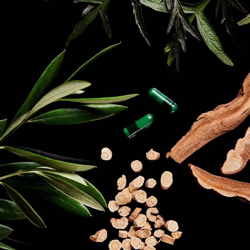 The Immune Elixir