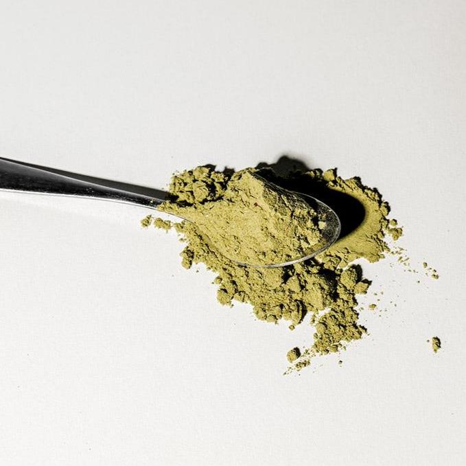 The Welle Paired Pack